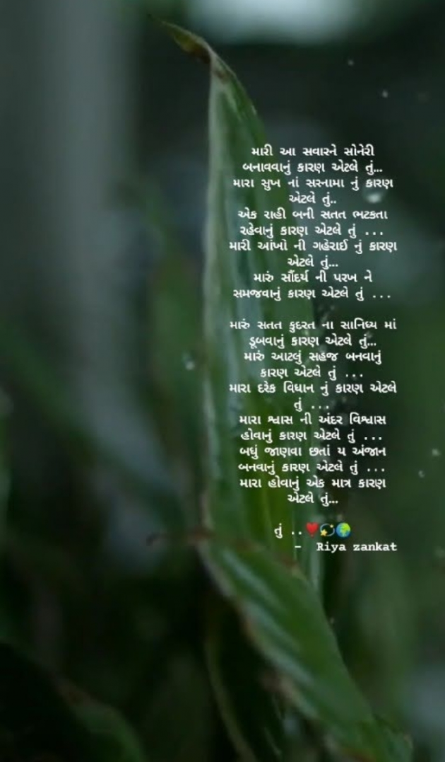 Gujarati Poem by Riya Zankat : 111922746