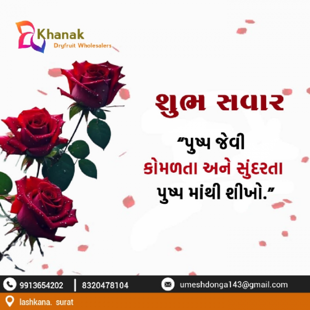 Gujarati Blog by Umesh Donga : 111922871