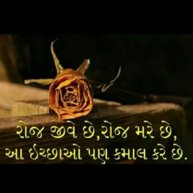 Gujarati Shayri by Krishna Rajput : 111922875