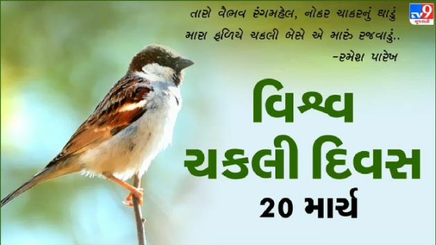 Gujarati Poem by Tr. Mrs. Snehal Jani : 111923088