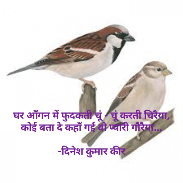 Hindi Thought by DINESH KUMAR KEER : 111923155