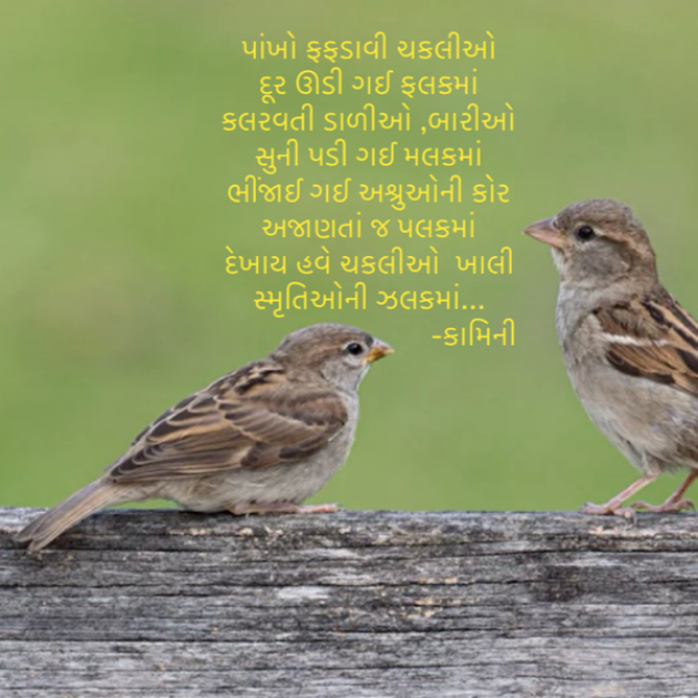 Gujarati Poem by Kamini Shah : 111923160