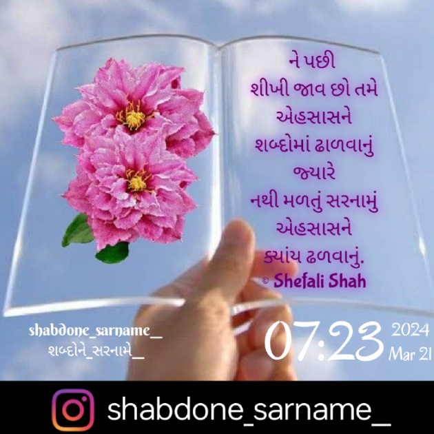 Gujarati Whatsapp-Status by Shefali : 111923264