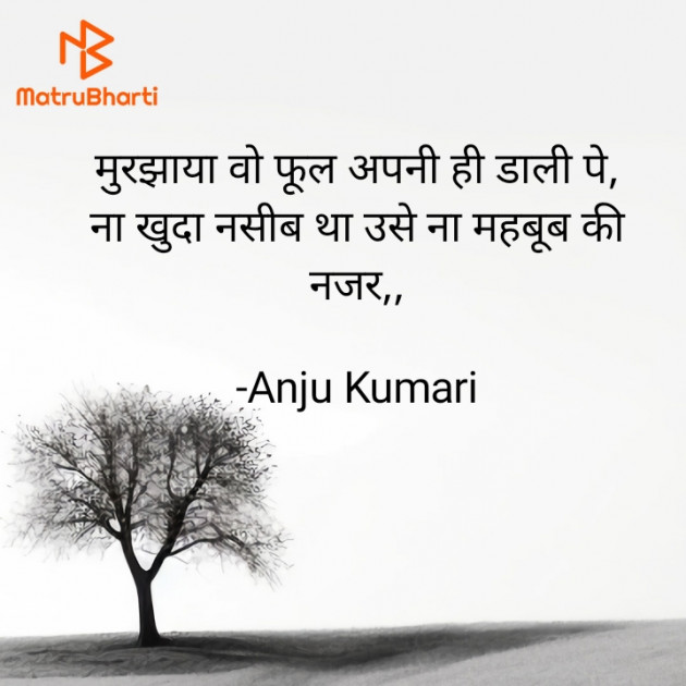 Hindi Shayri by Anju Kumari : 111923434