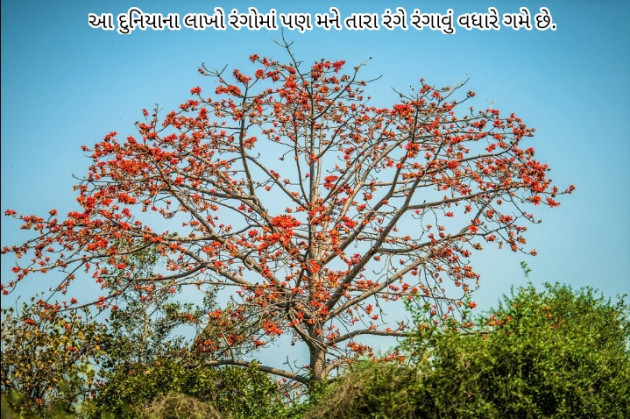 Gujarati Shayri by Mr Jay Gadhadara : 111923462