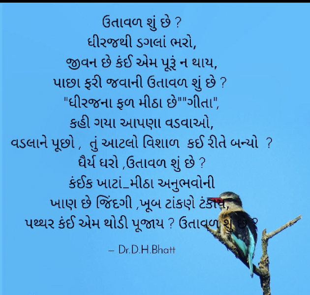 Gujarati Blog by Dr. Damyanti H. Bhatt : 111923480