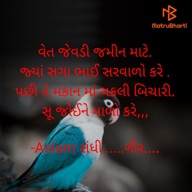 Gujarati Sorry by Aslam સંધી .....ગીર.... : 111923674