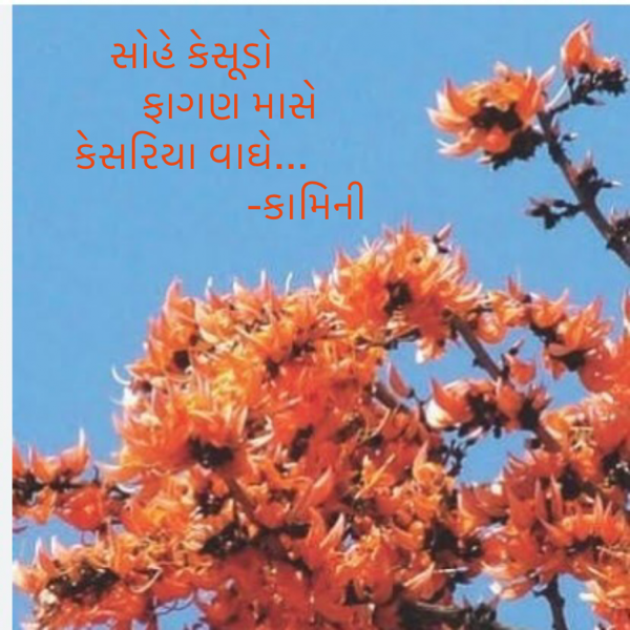 Gujarati Poem by Kamini Shah : 111924210