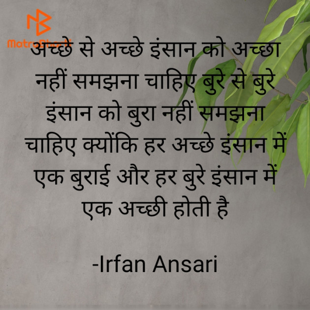 Hindi Thought by Irfan Ansari : 111924566