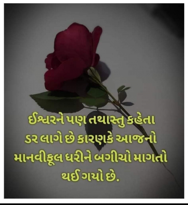 Gujarati Whatsapp-Status by Shwetal Patel : 111924626