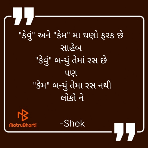 Gujarati Blog by Shek _ અેક મુનાસિબ : 111925025