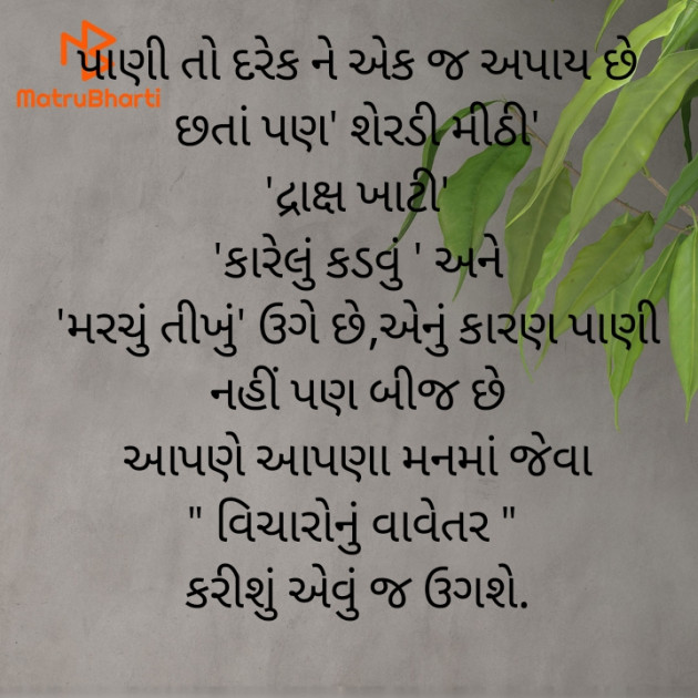 Gujarati Quotes by Nitu : 111925401