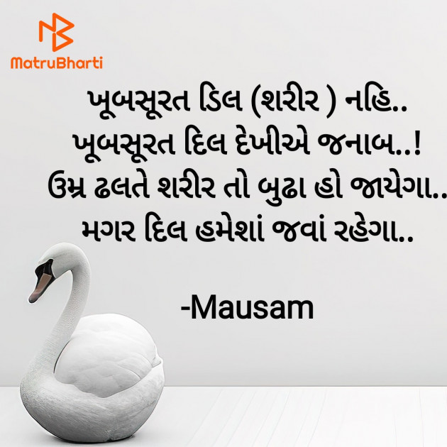 Gujarati Blog by Mausam : 111925613