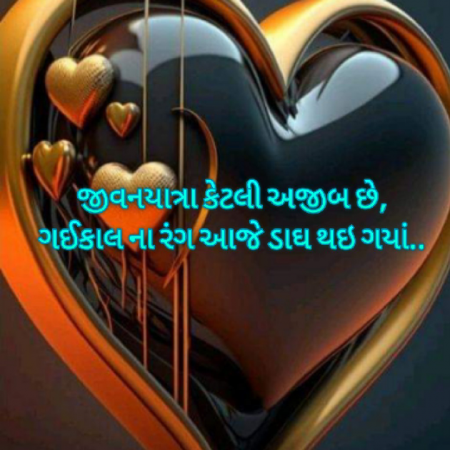 Gujarati Blog by Bhavna Bhatt : 111925660