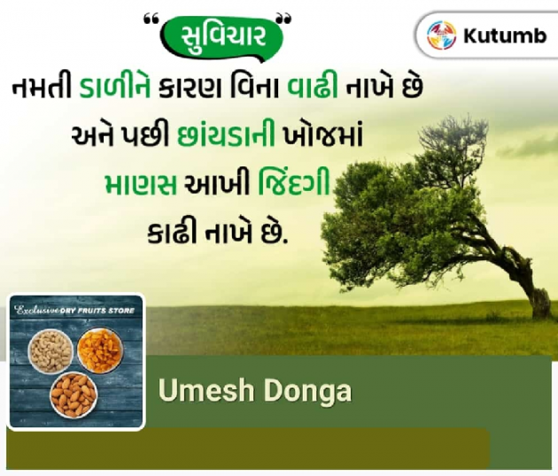 Gujarati Blog by Umesh Donga : 111925739