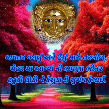 bhavnabhatt154654