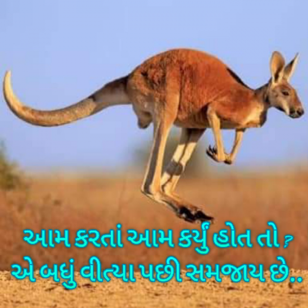 Gujarati Blog by Bhavna Bhatt : 111925837