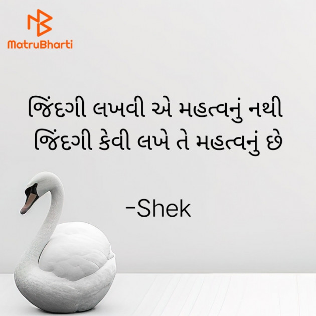 Gujarati Shayri by Shek _ અેક મુનાસિબ : 111924964