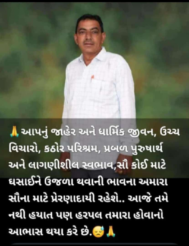 Gujarati Tribute by Mayur Patel : 111926341