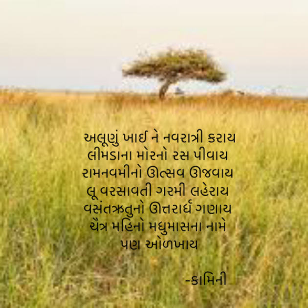 Gujarati Poem by Kamini Shah : 111926415