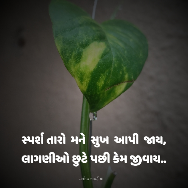 Gujarati Motivational by મનોજ નાવડીયા : 111926993