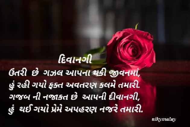 Gujarati Blog by Niky Malay : 111927008