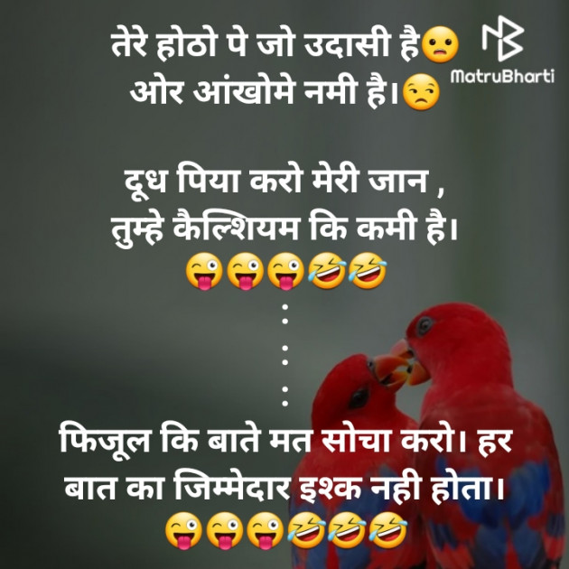 Hindi Funny by jighnasa solanki : 111927184