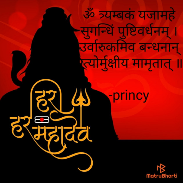 Hindi Religious by princy : 111927265