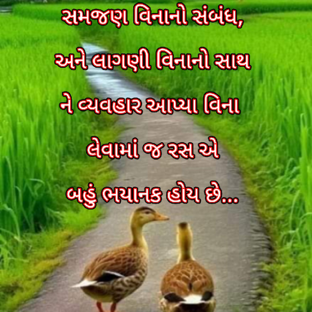 Gujarati Blog by Bhavna Bhatt : 111927336