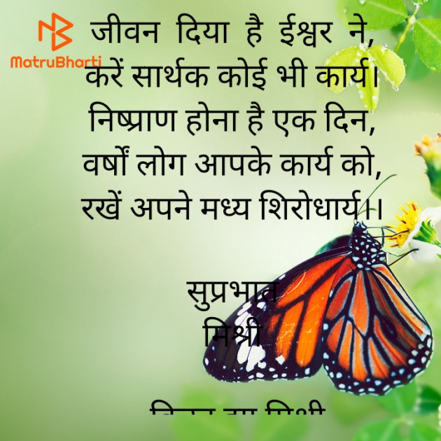 Hindi Quotes by किरन झा मिश्री : 111927757