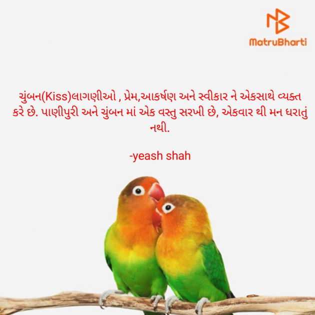 Gujarati Romance by yeash shah : 111927760