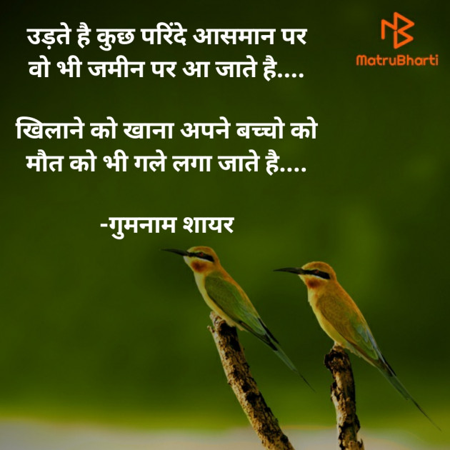 Hindi Shayri by गुमनाम शायर : 111928102