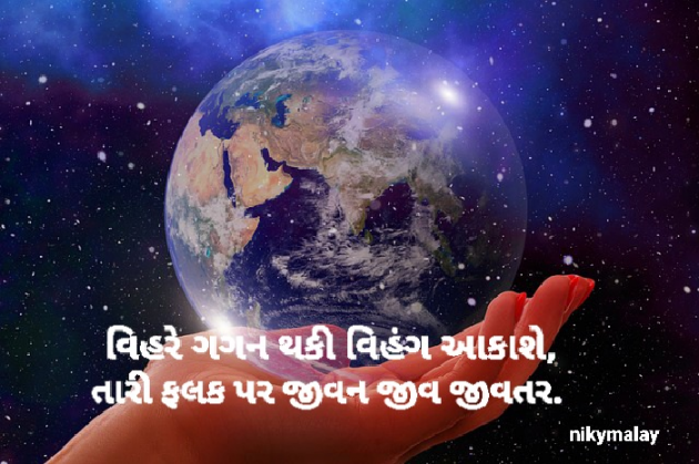 Gujarati Whatsapp-Status by Niky Malay : 111928223