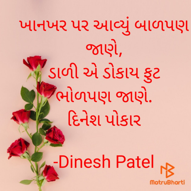 Gujarati Shayri by Dinesh Patel : 111928553