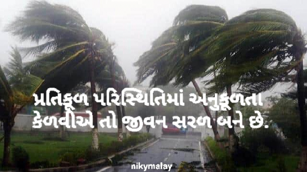 Gujarati Motivational by Niky Malay : 111928771