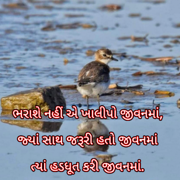 Gujarati Blog by Bhavna Bhatt : 111928797