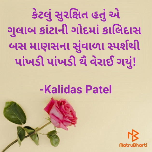 Gujarati Poem by Kalidas Patel : 111928990