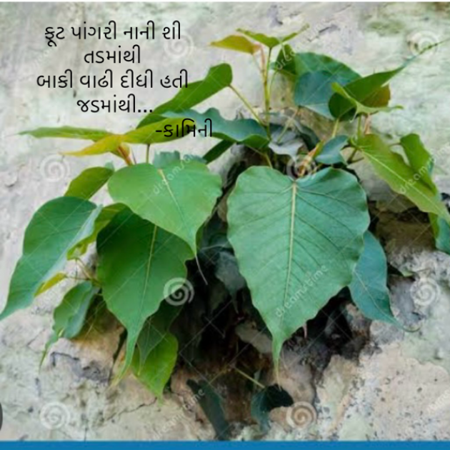 Gujarati Poem by Kamini Shah : 111929524