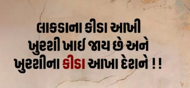 Gujarati Thought by Gautam Patel : 111929609
