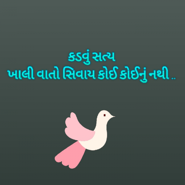 Gujarati Blog by Bhavna Bhatt : 111929717