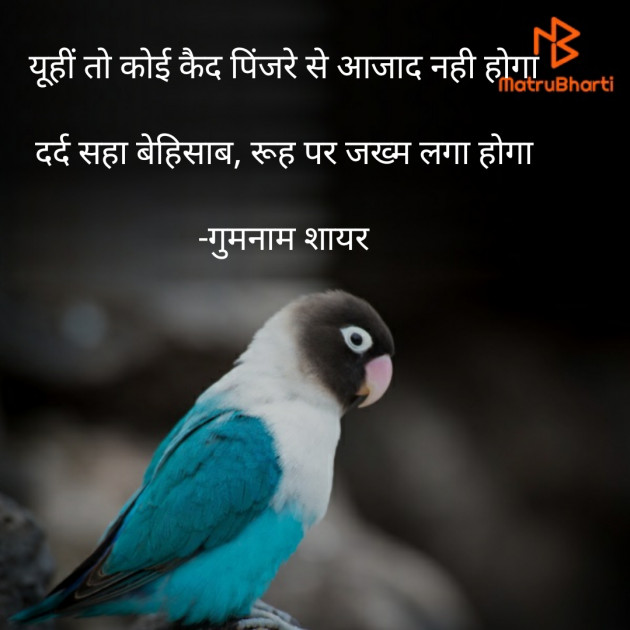 Hindi Shayri by गुमनाम शायर : 111929774