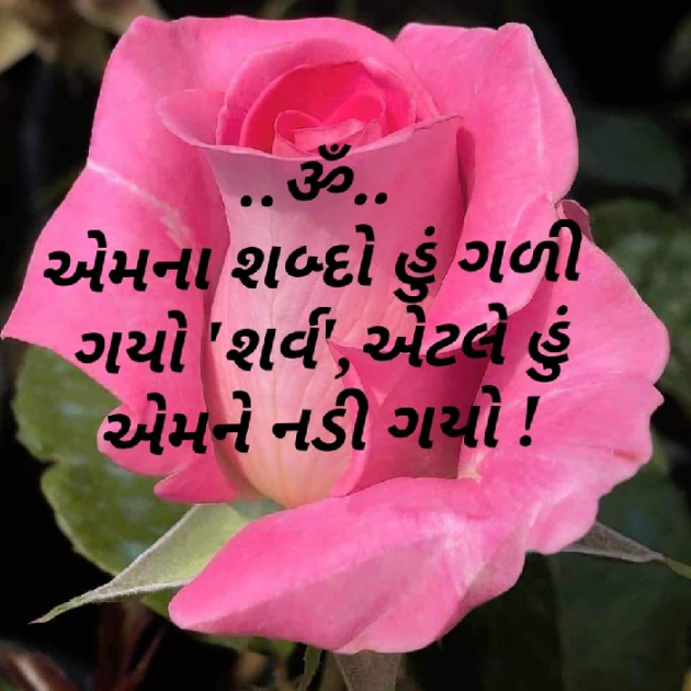 Gujarati Quotes by Jaylin Pandya : 111929973