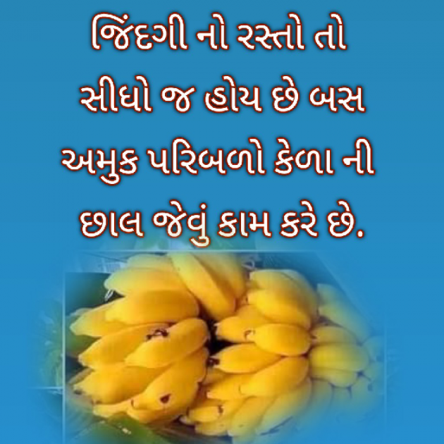 Gujarati Blog by Bhavna Bhatt : 111930077