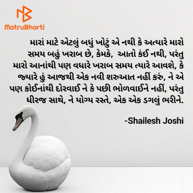 Gujarati Thought by Shailesh Joshi : 111930145