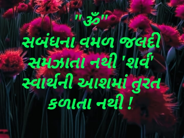 Gujarati Quotes by Jaylin Pandya : 111930154