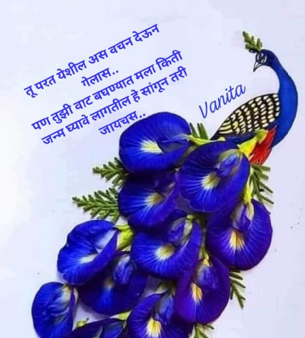 Marathi Shayri by Vanita Bhogil : 111930522