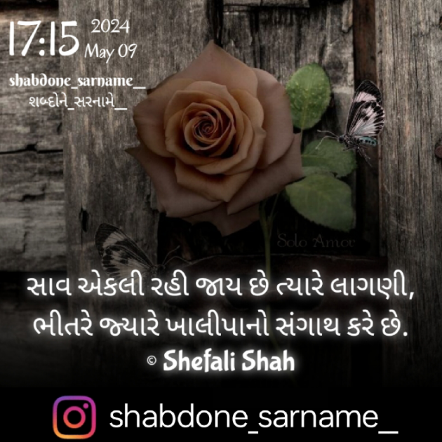 Gujarati Whatsapp-Status by Shefali : 111930616