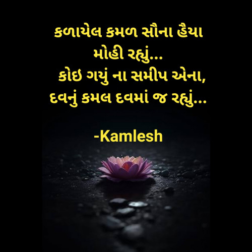 Post by Kamlesh on 10-May-2024 07:00am
