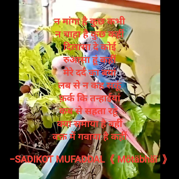 Hindi Good Morning by SADIKOT MUFADDAL 《Mötäbhäï 》 : 111930895