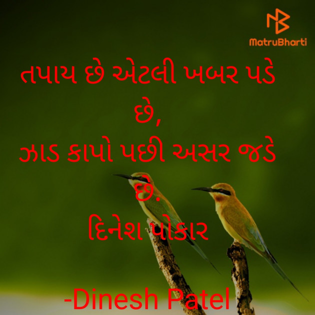 Gujarati Shayri by Dinesh Patel : 111930932